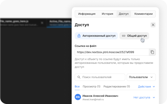 Платформа Некстбокс: эффективное управление доступом